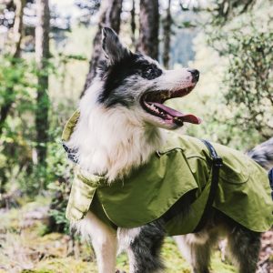 1pc PawPals Waterproof Dog Raincoat with Adjustable Drawstring - Warm and Cozy Outdoor Dog Jacket, Durable Plastic Material, All-Weather Protection - Green, Size L