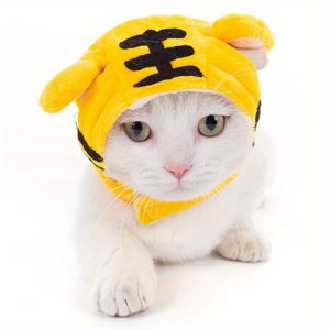 Pet Cartoon Head Cover For Autumn And Winter To Keep Warm And Cold, Cat And Dog Costumes Decorate Pet Hats