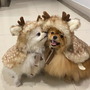 Christmas Pet Clothing, Elk Cape, Cape, Warm Dog And Cat Clothing, Transformed Clothing, Hat Accessories